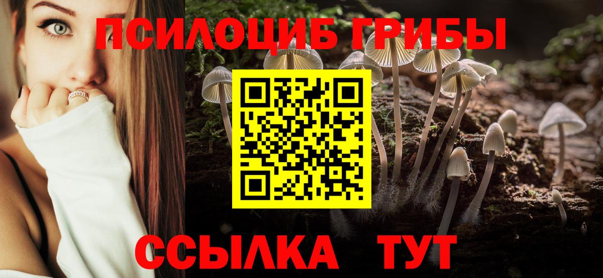 Галлюциногенные грибы MAGIC MUSHROOMS  где купить наркоту  Заводоуковск  Вход с VPN 