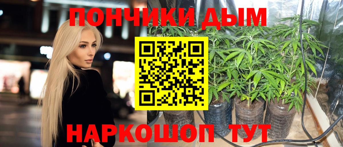 Каннабис Amnesia Заводоуковск